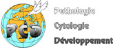 Logo Pathologie, Cytologie, Développement